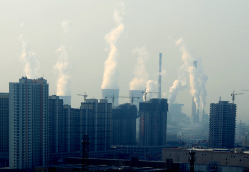 攝影三等獎《擇鄰而居》 作者:侯欽森(放射科) 7.jpg