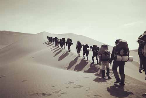 攝影二等獎《征服》 作者:付興根(內(nèi)分泌科) 3.jpg