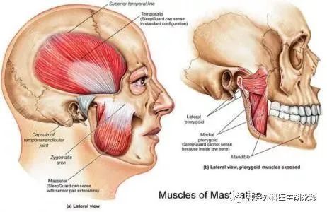 1701758113248221.jpg 640 (2).jpg