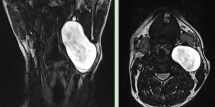 1703038607821626.jpg 圖片1.jpg