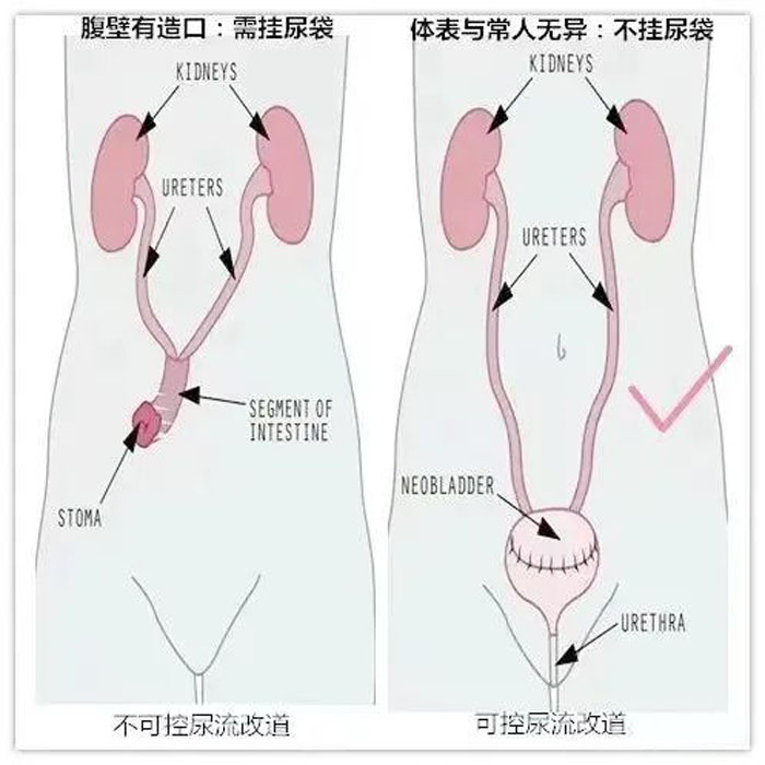 1703464769154570.jpg 640 (1).jpg